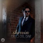 Shervin - Delo Del Dar
