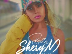 SheryM - Roozamun (Remix)