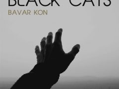 Black Cats - Bavar Kon