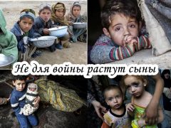 Чонибек Муродов - Не для войны растут сыны