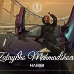 Zulaykho Mahmadshoeva - Habibi