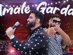 Qais Ulfat ft Shazad - Amale Gardan