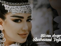 Шабнами Точиддин - Бизан дойра